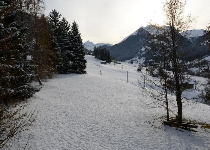 Les Erables- By Interhome Lejlighed Gstaad